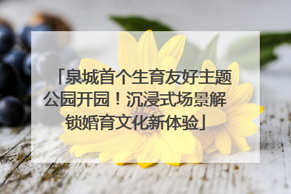 泉城首个生育友好主题公园开园！沉浸式场景解锁婚育文化新体验