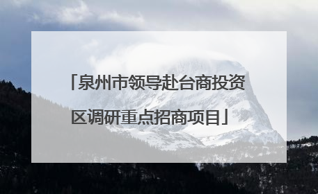 泉州市领导赴台商投资区调研重点招商项目