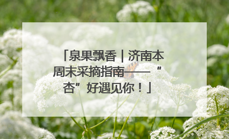 泉果飘香｜济南本周末采摘指南——“杏”好遇见你！