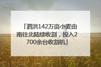 泗洪142万亩小麦由南往北陆续收割，投入2700余台收割机