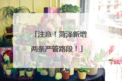 注意！菏泽新增两条严管路段！
