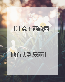 注意！西藏局地有大到暴雨