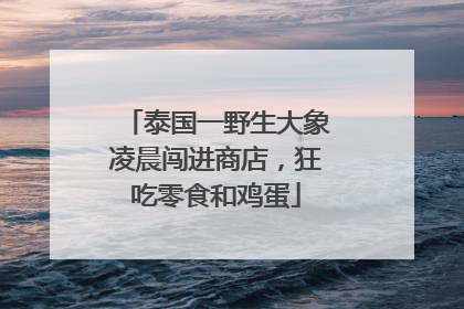 泰国一野生大象凌晨闯进商店，狂吃零食和鸡蛋