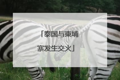 泰国与柬埔寨发生交火