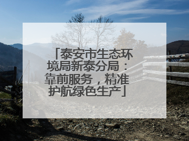 泰安市生态环境局新泰分局：靠前服务，精准护航绿色生产