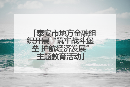 泰安市地方金融组织开展“筑牢战斗堡垒 护航经济发展”主题教育活动