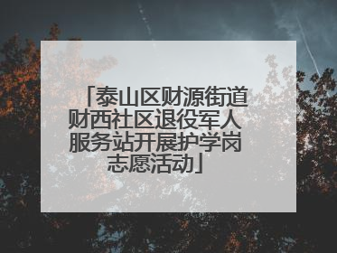 泰山区财源街道财西社区退役军人服务站开展护学岗志愿活动