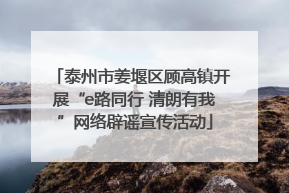 泰州市姜堰区顾高镇开展“e路同行 清朗有我”网络辟谣宣传活动