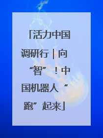 活力中国调研行｜向“智”！中国机器人“跑”起来