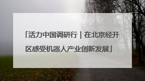 活力中国调研行｜在北京经开区感受机器人产业创新发展
