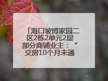 海口坡博家园二区2栋2单元2层部分商铺业主：“交房10个月未通自来水”