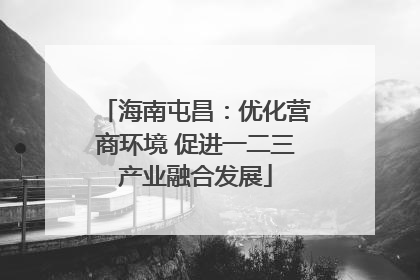 海南屯昌：优化营商环境 促进一二三产业融合发展