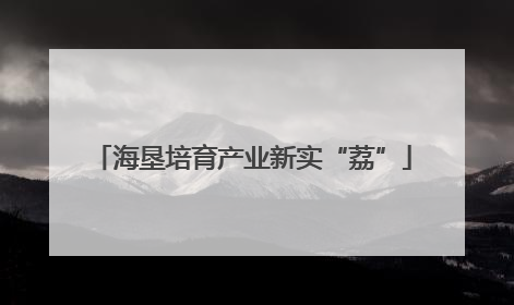 海垦培育产业新实“荔”