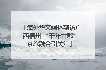 海外华文媒体到访广西梧州 “千年古郡”茶旅融合引关注