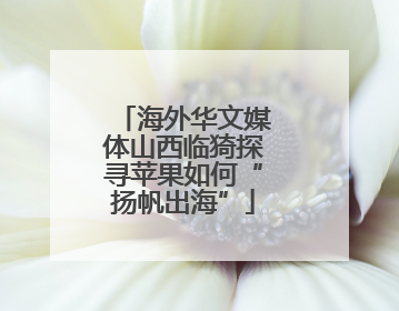 海外华文媒体山西临猗探寻苹果如何“扬帆出海”