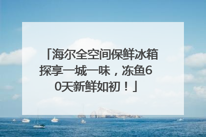海尔全空间保鲜冰箱探享一城一味，冻鱼60天新鲜如初！