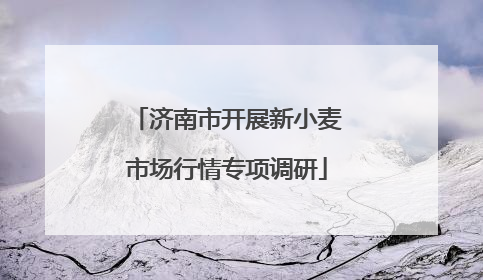 济南市开展新小麦市场行情专项调研
