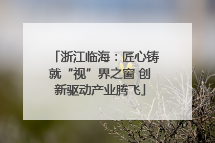 浙江临海：匠心铸就“视”界之窗 创新驱动产业腾飞
