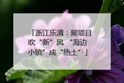 浙江乐清：聚项目吹“新”风 “海边小镇”成“热土”