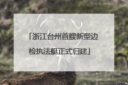 浙江台州首艘新型边检执法艇正式归建