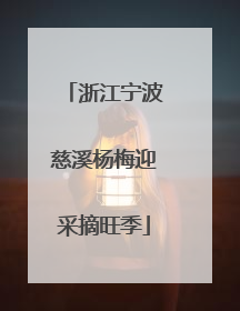 浙江宁波慈溪杨梅迎采摘旺季