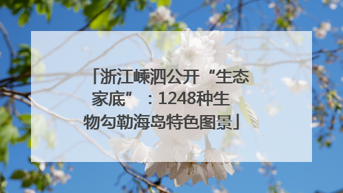 浙江嵊泗公开“生态家底”：1248种生物勾勒海岛特色图景