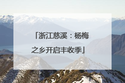 浙江慈溪：杨梅之乡开启丰收季