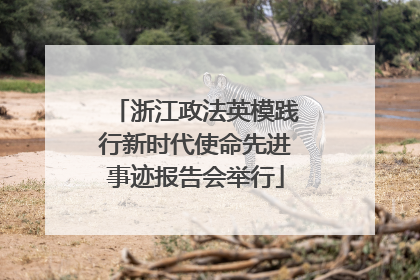 浙江政法英模践行新时代使命先进事迹报告会举行