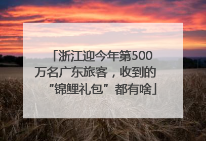 浙江迎今年第500万名广东旅客，收到的“锦鲤礼包”都有啥