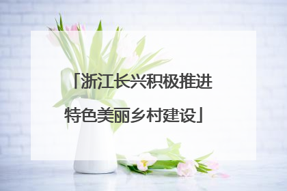 浙江长兴积极推进特色美丽乡村建设