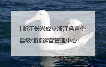 浙江长兴成立浙江省首个县级储能运营管理中心