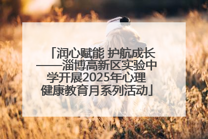 润心赋能 护航成长——淄博高新区实验中学开展2025年心理健康教育月系列活动