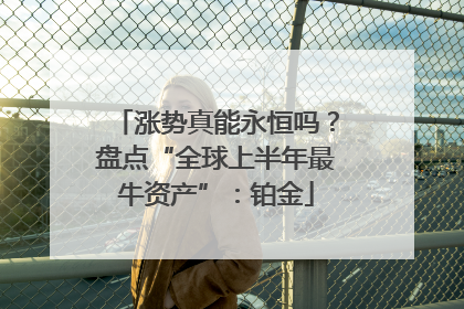 涨势真能永恒吗？盘点“全球上半年最牛资产”：铂金