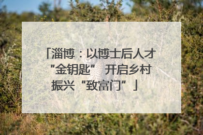 淄博：以博士后人才“金钥匙” 开启乡村振兴“致富门”