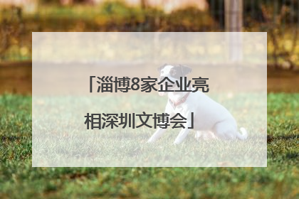 淄博8家企业亮相深圳文博会