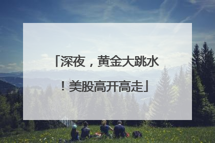 深夜，黄金大跳水！美股高开高走