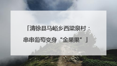清徐县马峪乡西梁泉村：串串葡萄变身“金果果”