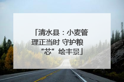 清水县：小麦管理正当时 守护粮“芯”绘丰景