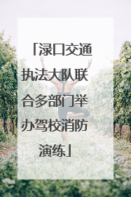 渌口交通执法大队联合多部门举办驾校消防演练