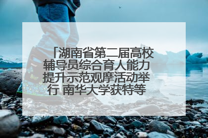 湖南省第二届高校辅导员综合育人能力提升示范观摩活动举行 南华大学获特等奖和一等奖