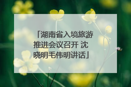 湖南省入境旅游推进会议召开 沈晓明毛伟明讲话