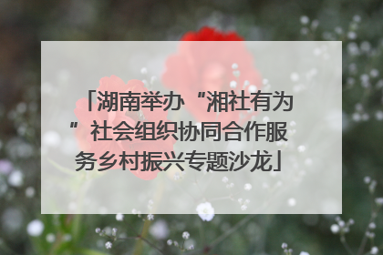 湖南举办“湘社有为”社会组织协同合作服务乡村振兴专题沙龙