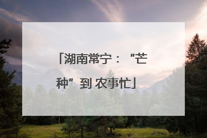 湖南常宁：“芒种”到 农事忙