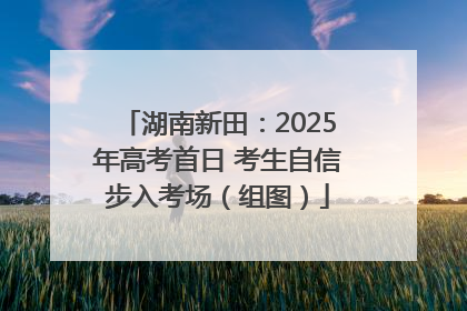 湖南新田：2025年高考首日 考生自信步入考场（组图）