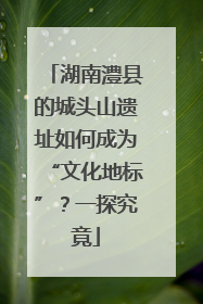湖南澧县的城头山遗址如何成为“文化地标”？一探究竟