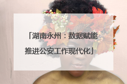 湖南永州：数据赋能推进公安工作现代化