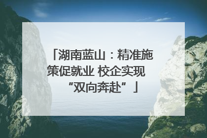 湖南蓝山：精准施策促就业 校企实现“双向奔赴”
