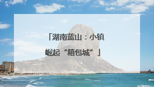 湖南蓝山：小镇崛起“箱包城”