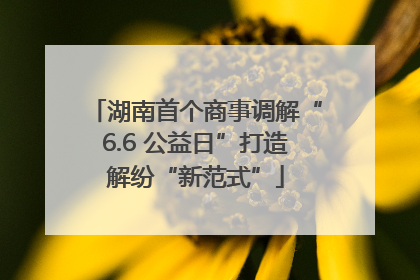 湖南首个商事调解“6.6 公益日”打造解纷“新范式”