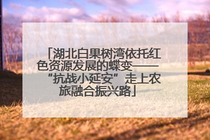 湖北白果树湾依托红色资源发展的蝶变——“抗战小延安”走上农旅融合振兴路